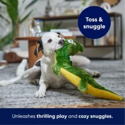 Frisco Alligator Wagazoo Plush Squeaky Dog Toy 12 Frisco Alligator Wagazoo Plush Squeaky Dog Toy -Pet Toys Store 174751 PT4. AC SS1800 V1695659148
