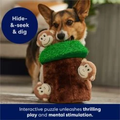 Frisco Monkeys In Tree Hide & Seek Puzzle Plush Squeaky Dog Toy 14 Frisco Monkeys In Tree Hide & Seek Puzzle Plush Squeaky Dog Toy -Pet Toys Store 174759 PT5. AC SS1800 V1702598595