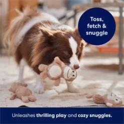 Frisco Monkeys In Tree Hide & Seek Puzzle Plush Squeaky Dog Toy Refills 10 Frisco Monkeys In Tree Hide & Seek Puzzle Plush Squeaky Dog Toy Refills -Pet Toys Store 174768 PT5. AC SS1800 V1691784249