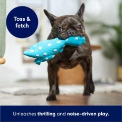 Frisco Dinosaur Latex Squeaky Dog Toy -Pet Toys Store 174770 PT3. AC SS1800 V1686579138