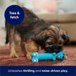 Frisco Latex Squeaky Puppy Toy -Pet Toys Store 174775 PT5. AC SS1800 V1691784247