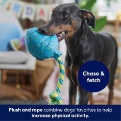 Frisco Birthday Balloon Plush With Rope Squeaky Dog Toy 10 Frisco Birthday Balloon Plush With Rope Squeaky Dog Toy -Pet Toys Store 177807 PT3. AC SS1800 V1695241973