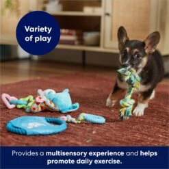 Frisco Little Friends Plush, Flyer & TPR Variety Pack Dog Toy -Pet Toys Store 177816 PT5. AC SS1800 V1691783909