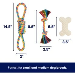 Frisco Jungle Pals Plush & Rope Variety Pack Dog Toy 9 Frisco Jungle Pals Plush & Rope Variety Pack Dog Toy -Pet Toys Store 177819 PT2. AC SS1800 V1686579629