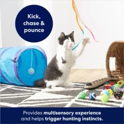 Frisco Plush, Teaser, Ball & Tri-Tunnel Variety Pack Cat Toy With Catnip, 20 Count 10 Frisco Plush, Teaser, Ball & Tri-Tunnel Variety Pack Cat Toy With Catnip, 20 Count -Pet Toys Store 178161 PT3. AC SS1800 V1678723898