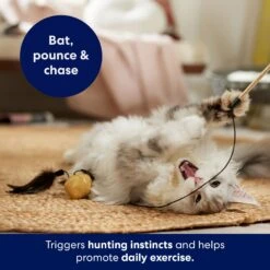 Frisco Sparkle Ball Teaser Wand Cat Toy With Catnip -Pet Toys Store 183254 PT3. AC SS1800 V1695241915