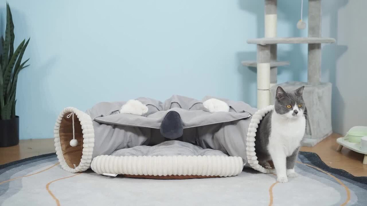 Pet Toys Store -Pet Toys Store 2