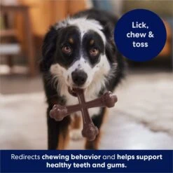 Frisco Bacon Flavor Tough Nylon Dog Chew Toy 12 Frisco Bacon Flavor Tough Nylon Dog Chew Toy -Pet Toys Store 213430 PT5. AC SS1800 V1691783968