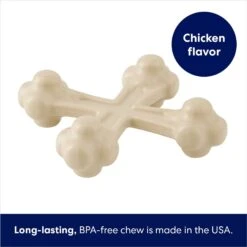 Frisco Chicken Flavor Tough Nylon Dog Chew Toy -Pet Toys Store 213432 PT2. AC SS1800 V1691784247