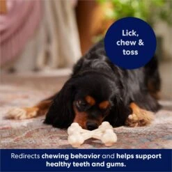 Frisco Chicken Flavor Tough Nylon Dog Chew Toy -Pet Toys Store 213432 PT5. AC SS1800 V1691784031