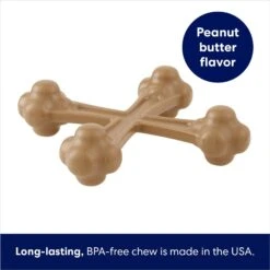 Frisco Peanut Butter Flavor Tough Nylon Dog Chew Toy -Pet Toys Store 213436 PT2. AC SS1800 V1692019767