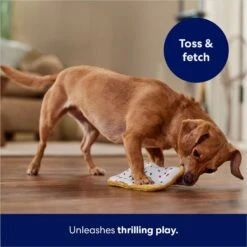 Frisco Frosted Pastry Stuffing-Free Flat Plush Squeaky Dog Toy -Pet Toys Store 213812 PT5. AC SS1800 V1686579088