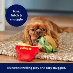 Frisco Burger & Fries Plush Squeaky Dog Toy -Pet Toys Store 213822 PT3. AC SS1800 V1695241915