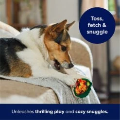 Frisco Burrito Plush Squeaky Dog Toy -Pet Toys Store 213834 PT4. AC SS1800 V1695919984