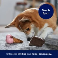 Frisco Ice Cream Sandwich & Ice Cream Cone Latex Squeaky Dog Toy 10 Frisco Ice Cream Sandwich & Ice Cream Cone Latex Squeaky Dog Toy -Pet Toys Store 213840 PT3. AC SS1800 V1695242030