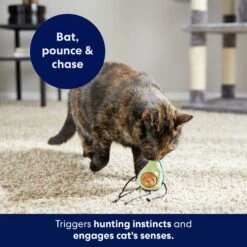 Frisco Dangly Avocado Buddy Plush Cat Toy With Catnip -Pet Toys Store 213846 PT5. AC SS1800 V1691784029