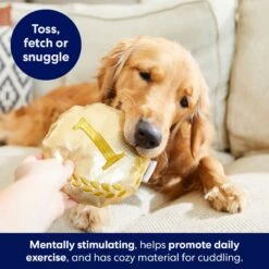 Frisco Gold Medal Round Plush Squeaky Dog Toy -Pet Toys Store 214082 PT6. AC SS1800 V1679069984