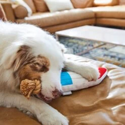 Frisco Summer Fun Plush & Rope Popsicle Dog Toy -Pet Toys Store 214703 PT6. AC SS1800 V1597596505