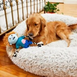 Frisco Zombie Boy Plush With Rope Squeaky Dog Toy -Pet Toys Store 218569 PT6. AC SS1800 V1597599376