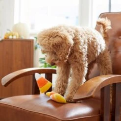 Frisco Halloween Candy Corn Plush Squeaky Dog Toy -Pet Toys Store 218619 PT6. AC SS1800 V1597599676