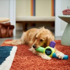 Frisco Retro Whack It! Ballistic Nylon Plush Squeaky Dog Toy 7 Frisco Retro Whack It! Ballistic Nylon Plush Squeaky Dog Toy -Pet Toys Store 230302 PT3. AC SS1800 V1601947283