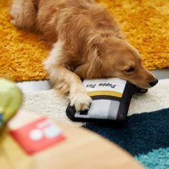 Frisco Retro Floppy Disc Ballistic Nylon Plush Squeaky Dog Toy 7 Frisco Retro Floppy Disc Ballistic Nylon Plush Squeaky Dog Toy -Pet Toys Store 230304 PT3. AC SS1800 V1602639753