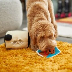 Frisco Retro Camera 2-in-1 Rip For Surprise Plush Squeaky Dog Toy 7 Frisco Retro Camera 2-in-1 Rip For Surprise Plush Squeaky Dog Toy -Pet Toys Store 230306 PT3. AC SS1800 V1602639779