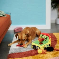 Frisco Retro Smack-a-Squirrel Hide & Seek Puzzle Plush Squeaky Dog Toy -Pet Toys Store 230313 PT3. AC SS1800 V1601947334