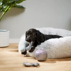 Frisco Retro Plush Squeaky Disco Dog Toy -Pet Toys Store 230349 PT3. AC SS1800 V1600973789