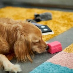 Frisco Retro Funky Van TPE Treat Dispenser Dog Toy, Medium/Large -Pet Toys Store 230383 PT4. AC SS1800 V1669908614