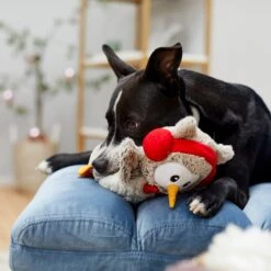 Frisco Holiday Owl Plush Squeaky Dog Toy -Pet Toys Store 233160 PT2. AC SS1800 V1601304724