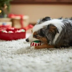 Frisco Holiday Wreath Fetch Squeaky Tennis Ball Dog Toy -Pet Toys Store 233189 PT3. AC SS1800 V1665759769