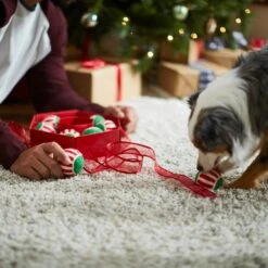 Frisco Holiday Wreath Fetch Squeaky Tennis Ball Dog Toy -Pet Toys Store 233189 PT5. AC SS1800 V1601919657