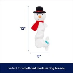 Frisco Holiday Snowman Bungee Plush Squeaky Dog Toy -Pet Toys Store 233221 PT1. AC SS1800 V1701797064