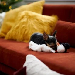 Frisco Holiday Snowman Bungee Plush Squeaky Dog Toy -Pet Toys Store 233221 PT3. AC SS1800 V1695648147