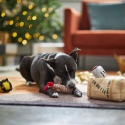 Frisco Holiday Fragile Box Hide & Seek Puzzle Plush Squeaky Dog Toy 13 Frisco Holiday Fragile Box Hide & Seek Puzzle Plush Squeaky Dog Toy -Pet Toys Store 233274 PT4. AC SS1800 V1665759767