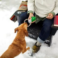 Frisco Holiday Christmas Light Rope With TPR Squeaky Dog Toy -Pet Toys Store 233278 PT2. AC SS1800 V1601641574