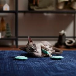 Frisco Snowflake Plush Cat Toy With Catnip, 3 Count -Pet Toys Store 233285 PT3. AC SS1800 V1661874178