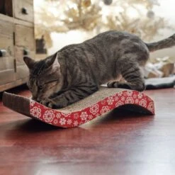 Frisco Holiday Wave Cat Scratcher Toy With Catnip -Pet Toys Store 233287 PT2. AC SS1800 V1602172537