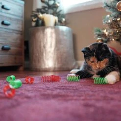 Frisco Holiday Springs Cat Toy, 10 Count -Pet Toys Store 233307 PT2. AC SS1800 V1602172363