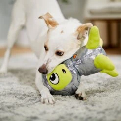 Frisco Alien Plush Squeaky Dog Toy 7 Frisco Alien Plush Squeaky Dog Toy -Pet Toys Store 233579 PT3. AC SS1800 V1600973833