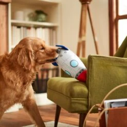 Frisco Ballistic Nylon Plush Squeaky Rocket Ship Dog Toy -Pet Toys Store 233581 PT3. AC SS1800 V1600973767
