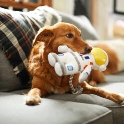 Frisco Ballistic Nylon Plush With Rope Squeaky Astronaut Dog Toy -Pet Toys Store 233585 PT3. AC SS1800 V1600973761
