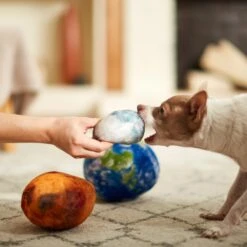 Frisco Earth, Mars, And Moon Plush Squeaky Dog Toy -Pet Toys Store 233587 PT3. AC SS1800 V1600973771