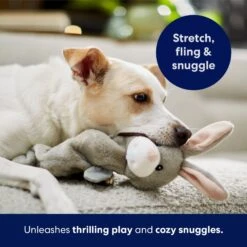 Frisco Bunny Bungee Plush Squeaky Dog Toy -Pet Toys Store 233612 PT5. AC SS1800 V1691783971