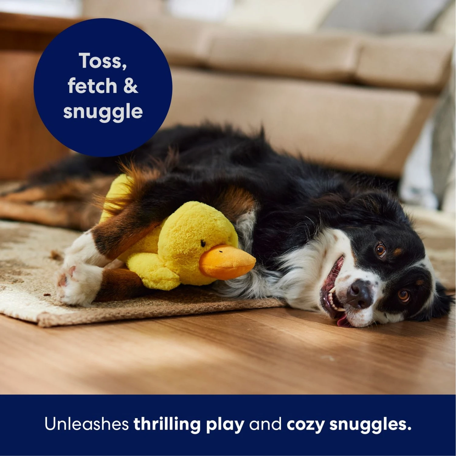 Frisco Duck Plush Squeaky Dog Toy 7 Frisco Duck Plush Squeaky Dog Toy - Image 5