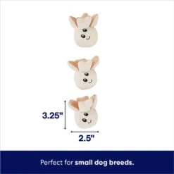 Frisco Zoomies & Chill Popcorn Hide & Seek Puzzle Plush Squeaky Dog Toy -Pet Toys Store 241679 PT2. AC SS1800 V1695748413