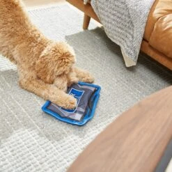 Frisco Zoomies & Chill TV Flat Plush Squeaky Dog Toy -Pet Toys Store 241685 PT6. AC SS1800 V1610768399