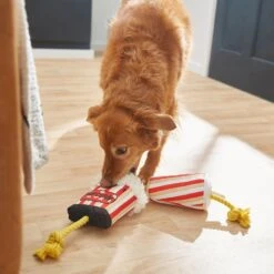 Frisco Zoomies & Chill Theatre Snacks Rope With Plush Squeaky Dog Toy -Pet Toys Store 241689 PT6. AC SS1800 V1610768279