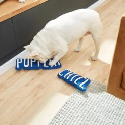 Frisco Zoomies & Chill Pupflix & Chill Plush Squeaky Dog Toy, 2 Count -Pet Toys Store 241693 PT6. AC SS1800 V1610768429